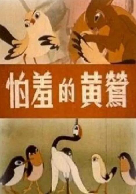 国产视频四区